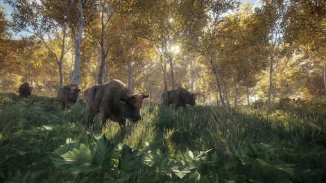 theHunter: Call of the Wild (PC) - Steam Key - GLOBAL