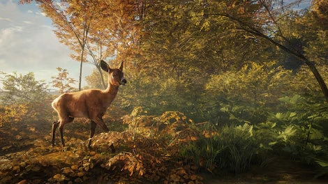 theHunter: Call of the Wild (PC) - Steam Key - GLOBAL