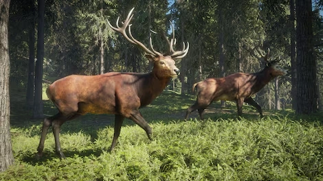 theHunter: Call of the Wild (PC) - Steam Key - GLOBAL