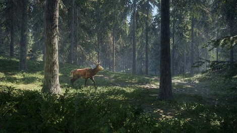 theHunter: Call of the Wild (PC) - Steam Key - GLOBAL